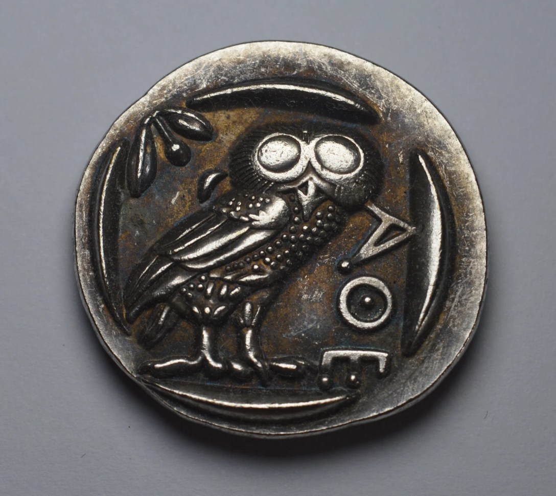 athenean owl